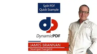 Splitting a PDF into Multiple PDFs Using DynamicPDF Core Suite