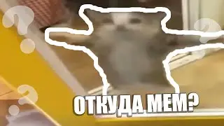 ШНИ ШНА ШНАПИ — ОТКУДА МЕМ?