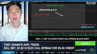 A Bearish View on Apple (AAPL)