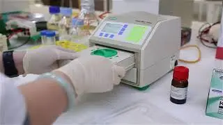 Training | Western blot analysis of protein biomarker in mesothelioma