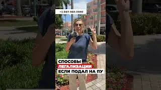 ВАРИАНТЫ легализации в США после подачи на политическое убежище в США #cbpone #убежище #иммиграция