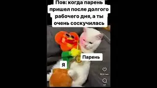 Когда ты соскучилась