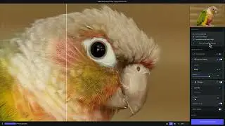 Using Topaz Photo AI with Adobe Photoshop