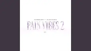 PAIN VIBES 2