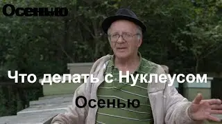 Пасека#138 Пропала матка,где взять? Нужно иметь Нуклеус Осмотр Нуклеуса Пчеловодство для начинающих