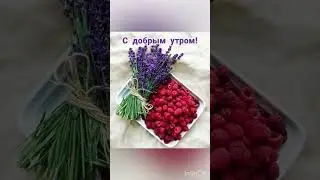 Доброе утро