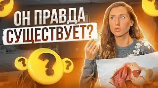 Вагинальный сфинктер: Правда или миф. Существует ли сфинктер влагалища?