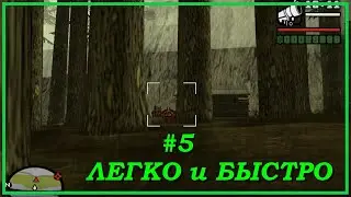 #5 GTA SA – легко и быстро. Сельская местность