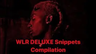 Playboi Carti WLR DELUXE Snippets Compilation