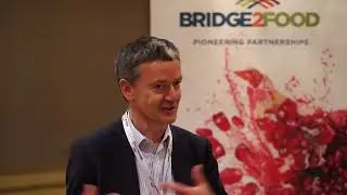 Summit America - Dennis Chereau, Improve