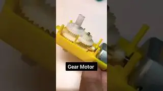 Inside Gear Motor 