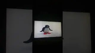 Pingu's Curling Game (BBC Toybox Bumper Video Version) Robby Bites Penguin's Tail