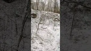 Выбор идеального места для стоянки и ночевки в лесу в походе, военых действиях или если заблудились.