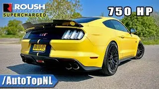 750HP FORD MUSTANG GT SUPERCHARGED | 289km/h REVIEW on AUTOBAHN by AutoTopNL