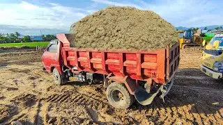 Dump Truk Jomplang Bongkar Muatan Tanah Timbunan Full Bak