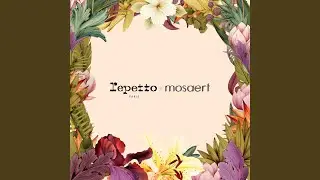 Repetto X Mosaert