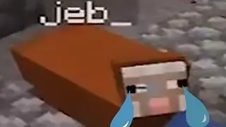 The sad death of Water Sheep