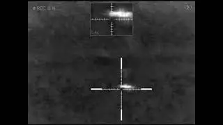 22lr. Проверка пристрелки перед охотой. 50-75 метров.