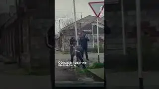 Застрявшего в трубе пса спасли полицейские в Шымкенте