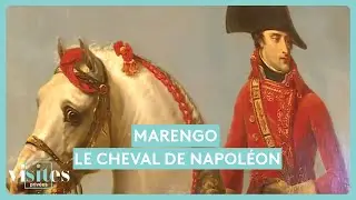 Qui était Marengo, le fameux cheval de Napoléon ?