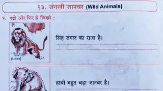 Exam Special 2024 | Hindi | Std 3 | Chap 23 | जंगली जानवर  | Wild Animals | #S&DTeacher