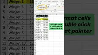 Format Painter Tip in Excel! 