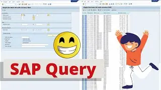 Getting started with SAP Query: Select data without ABAP programming