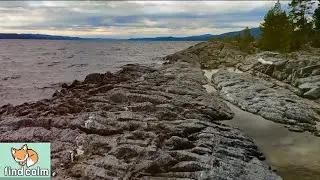 NORWAY (Unintentional) ASMR #1 🌲 Peaceful Lakeside Walk through Beautiful Windy Forest