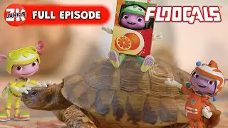 Project Tortoise - FLOOGALS TAKEOVER on ZeeKay Junior