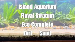 Island Aquarium - Upgrading the Dirt Planted Goldfish Tank