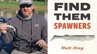 Top Spring Tips for Finding Spawning Bass | April Swimbait Fishing Secrets