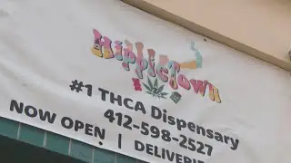 Pittsburgh smoke shop owner says hes being unfairly targeted by the law