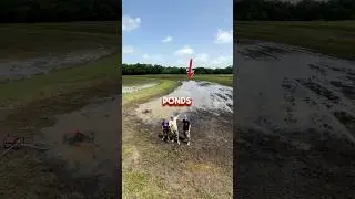 Mother Nature Got Us Again 