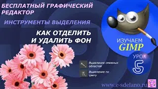 Gimp. Урок 5. Как отделить и удалить фон в бесплатном фоторедакторе Gimp