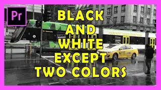 How to make Black and White video Except Two Colors in Adobe Premiere Pro 2019