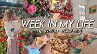 WEEK IN MY LIFE | honest motherhood thoughts, zoo outing, sleep struggles, & Trader Joe’s haul!