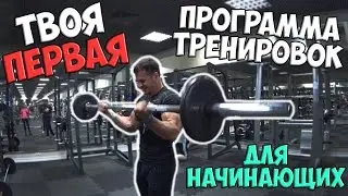 ТВОЯ ПЕРВАЯ ПРОГРАММА ТРЕНИРОВОК | для начинающих