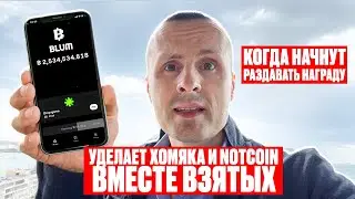 Почему BLUM лучше Хомяка❓ Когда начнут раздавать награду ❗️ Актуальные обновления