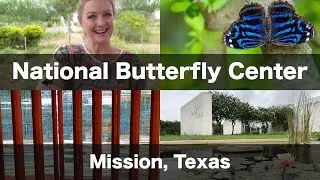 Bulldozing Butterflies: National Butterfly Center vs. Border Wall