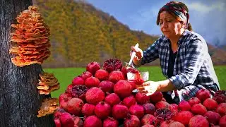 WILD MUSHROOM that Mimic Meat - Pomegranate Jam and Fried Mushrooms in the Mountains!