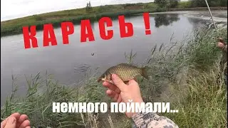 Crucian carp on a fishing rod. Fishing. crucian carp