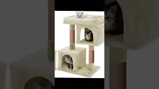 Какой домик мне купить? #симбочка #симба #funny #quataun #funny #quataun #quataun #мем #simba #мем #