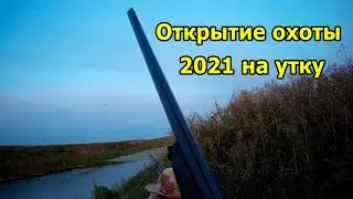 Открытие охоты на утку 2021