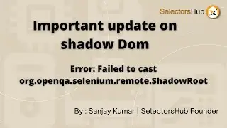 How to fix the ShadowRoot cannot be cast to org.openqa.selenium.WebElement error in selenium?