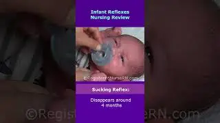 Infant Reflexes Nursing Review in 48 Seconds #shorts #nursing #nclex