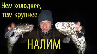 Укрупняемся! Экстрим - рыбалка на НАЛИМА ОСЕНЬЮ. Ловля налима вечером с берега на р. Кама