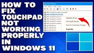 How To Fix Touchpad Not Working Properly in Windows 10/11 [Solution]