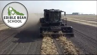 Edible Bean School -  Self-propelled bean combine makes its Canadian debut