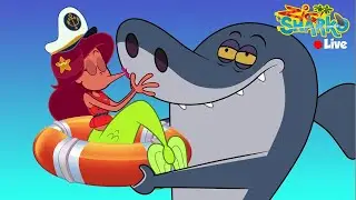 (NEW) 🔴 ZIG & SHARKO 3 | LIVE CARTOON  | NEW SEASON & EPISODES