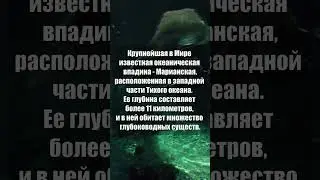 Крупнейшая в Мире известная океаническая впадина #shorts